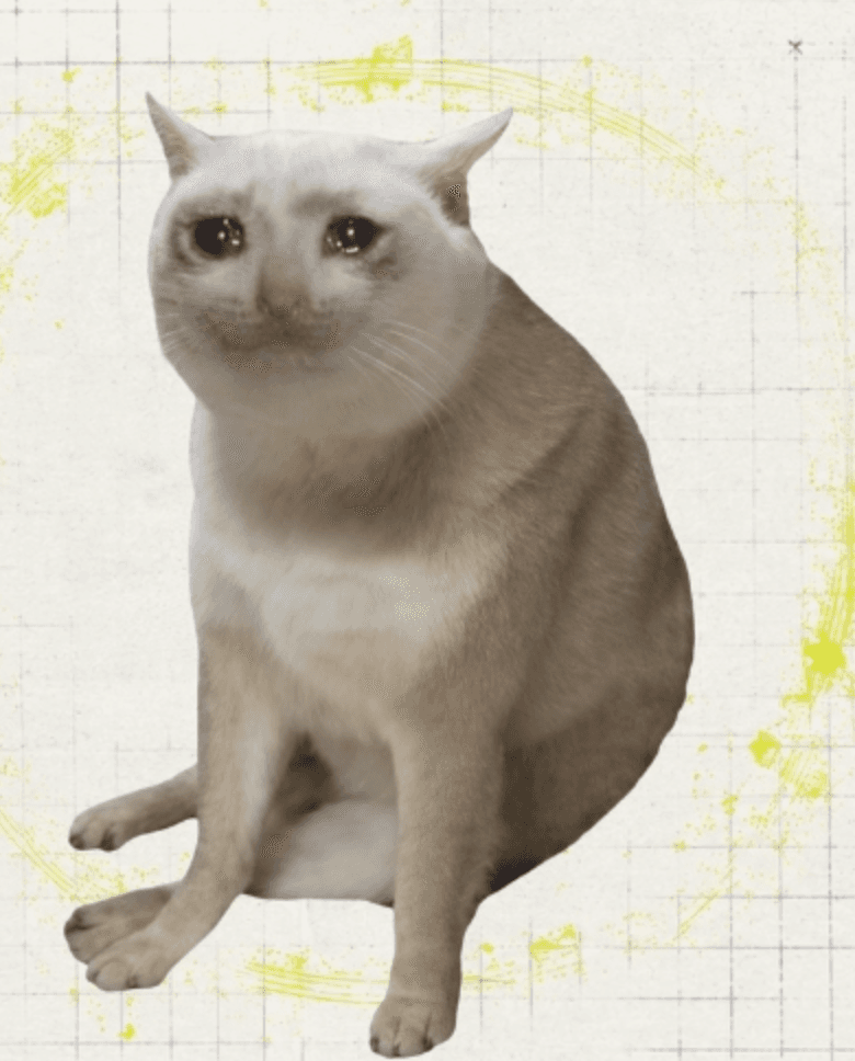 The CatPerp risk manager
